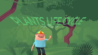 PLANTS LIFE CYCLE [upl. by Lemrac]