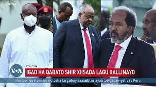 Itoobiya oo IGAD ka dalbatay shir ku saabsan xiisadda Soomaaliya [upl. by Einahpts]