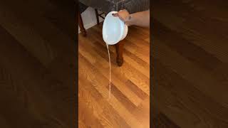 Eyliden Floor Squeegee Review Effortless Cleaning for Every Home [upl. by Leroj]