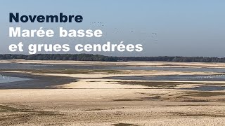 Novembre  Marée basse amp grues cendrées [upl. by Maxama]