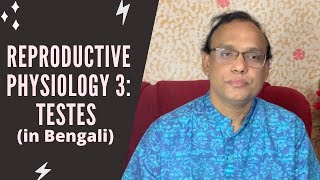 Reproductive Physiology 3 Testes in Bengali  Dr Dilip [upl. by Duwalt]