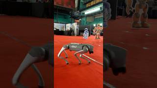 Robo Dogs 🔥 robots expo 😍  Goofy Boy [upl. by Seema]