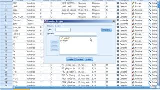 01 Ponderar casos seleccionar casos y segmentar archivo [upl. by Neehahs]