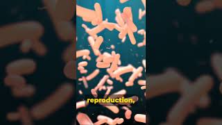 What are bacteria [upl. by Keavy841]