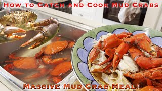 How to Catch and Cook Mud Crabs  Massive Mud Crab Meal [upl. by Aeriel]