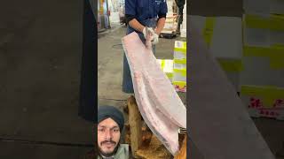 Huge Frozen Tuna Cutting food seafood tuna japan [upl. by Lehman113]