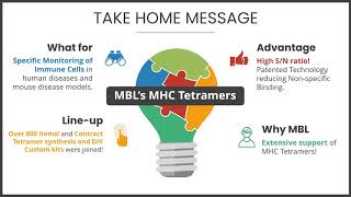 【MHC Tetramer】5 Summary [upl. by Kellene369]