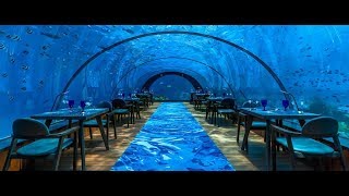 58 Undersea Restaurant by Hurawalhi [upl. by Nafis251]