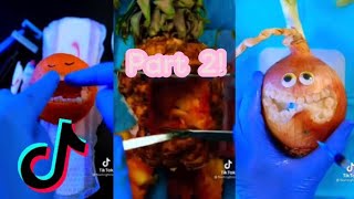 fleetingfilms  Fruit amp Vegetable Surgeries  Discount Dentist  TikTok Compilation 2 [upl. by Alegnasor231]