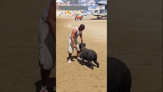 Franklin Tommy Ka Chehre Chole Gelo 😭 gta5 gta mamungamerz [upl. by Sproul]