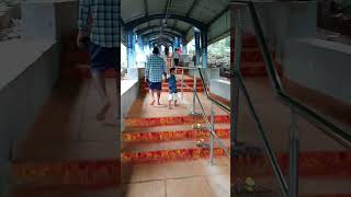 Tirupathi temple steps🙏🙏🙏🙏 trending viralvideo trending shivachari7 [upl. by Nosilla]