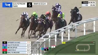 Gulfstream Park Carrera 5  8 de Marzo 2024 [upl. by Ydnagrub]