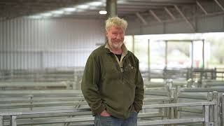 Stockpro Sheep Yards at Pastora Poll Merinos [upl. by Karlotta246]