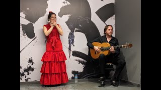 Flamenco Passion in Every Step [upl. by Ainafets191]