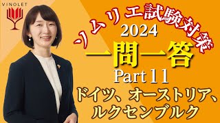 【2024年度】第11回ヴィノテラス ソムリエ・ワインエキスパート一次試験対策講座補講 第11回 ドイツ、オーストリア、ルクセンブルク [upl. by Dermot988]