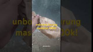 Unboxing burung masteran part 2 shortvideo burungmasteran [upl. by Calesta]