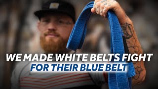 22 BJJ WHITE BELTS FIGHT FOR A BLUE BELT [upl. by Whiteley]