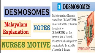 Desmosomes explained in malayalam with notesNurses Motive [upl. by Vidovic586]