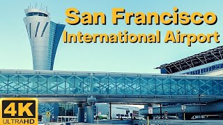 Virtual Tour of San Francisco International Airport  SFO Virtual Walk in 4K [upl. by Seravat]