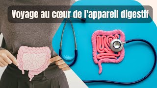 L’Appareil Urinaire et Digestif Pilliers de la Santé [upl. by Eniawed]