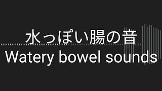 お腹の音Rumbling stomach体調不良時の水っぽい腸の音Watery bowel sounds when unwell [upl. by Malan]