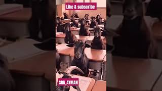 comedy funny fun prank viralshort theboys [upl. by Yeltrab]