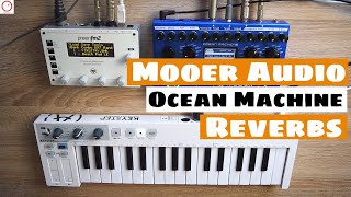 Mooer Audio Ocean Machine With SYNTHESIZERS  Reverb Modes Sound Demo [upl. by Elihu464]