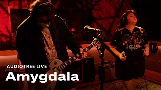 Amygdala  Our Bodies Our Choice  Audiotree Live [upl. by Gnut545]