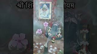 PRADEEP MISHRA MANTRA pradeepmishraji shrishivaynamstubhyam shivjistatus shorts shortfeed [upl. by Eekcaj2]