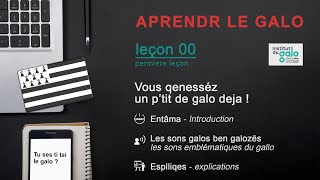 COURS 00  VOUS QENESSÉZ UN PTIT DE GALO DEJA   Apprendre la langue gallèse [upl. by Elehcar]