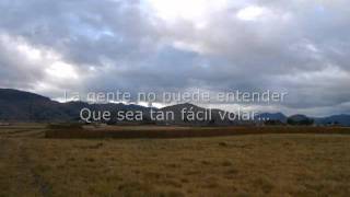 CHAYANNE  A FUERZA DE AMAR  PT Eflv [upl. by Hgielhsa596]