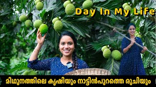 മിഥുനത്തിലെ കൃഷിയും നാട്ടിൻപുറത്തെ രുചിയും Day in my life Saranyas beauty vlogs [upl. by Sucram]