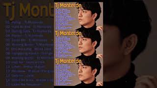 PALAGI  TJ MONTERDE  NONSTOP PLAYLIST MUSIC 2024 [upl. by Atnom]