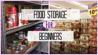 Food Storage  Stockpile Pantry For Beginners [upl. by Giulia]