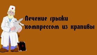 Лечение грыжи компрессом из крапивы [upl. by Anewor996]