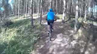 MTB Cannock Chase Monkey Trail Full [upl. by Glynas]