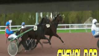 Analyse cheval dor pour cours 230119 CagnessurMer R1Course1Prix Une de Mai Attelé Course B [upl. by Joline]