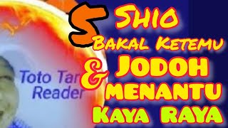 5 Shio bakal ketemu JODOH  Menantu KAYA RAYA dalam waktu dekat [upl. by Esinehc5]