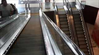 HUGE Schindler 9300 escalators at the Revel Ellipse Atrium [upl. by Nauj]