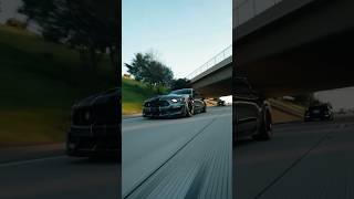 Shelby GT350 vs GT500 Rolling 🏎️ [upl. by Collbaith]