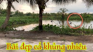 Câu Cá Tra Sông  Bãi Cá Bự Ục Hơn Nuôi Và Cái Kết Luôn  Fishing Miền Tây [upl. by Cilla]