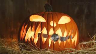 Rotting Halloween Pumpkin Time Lapse with Xeric Halograph Watch [upl. by Alcot252]