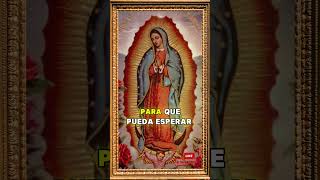 ORACIÓN Virgen Madre Amorosa  dios reflexiones amor fypシ゚viral shortsfeed [upl. by Adyela]