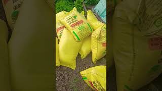 यूरिया खाद की प्राइस  price of urea fertilizer  urea fertilizer [upl. by Jacinta]