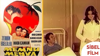 Memnu Meyva Türk Filmi  Hadi Çaman  Zerrin Egeliler  Sibel Film [upl. by Batish731]