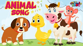 Animals Songs for Kids  Five Little Ducks  More Nursery Rhymes Compilation for Children [upl. by Amory]