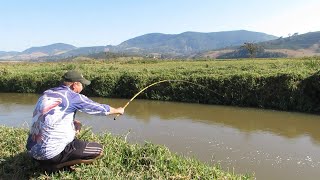 PESCANDO AS TABARANAS [upl. by Aivila]