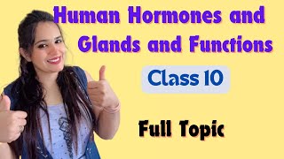 Human Hormones Endocrine System easy biology [upl. by Jaenicke]