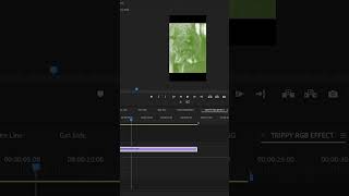 new effect in premiere pro NIGHT VISION EFFECT 2024 premiereproeffects [upl. by Loats]