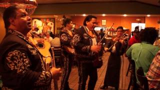 Orange Blossom Special MARIACHI FESTIVO Call Robert Rivera 4076374199 [upl. by Noy]